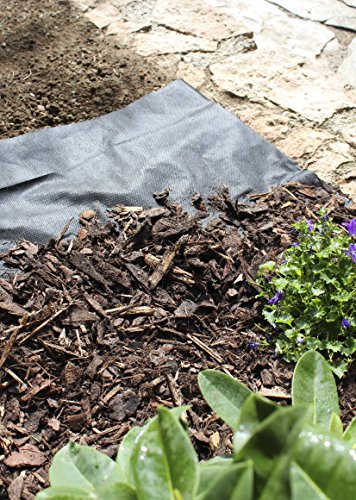 Windhager Unkraut Vlies Basic, 5 x 1,6 m - 4