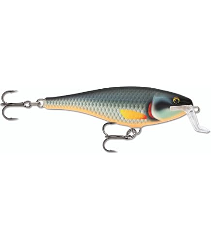 Leurre hybride Rapala x rap Otus 25cm pour la pêche du brochet