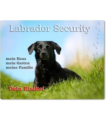 Metall-Warnschild 'Labrador Retriever' – 30,5x20 Cm, Aluminium, Für Garten Oder Haustür