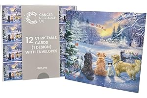 Cancer Research UK Box of 12 Charity Christmas Cards - Single Design - Festive Anticipation