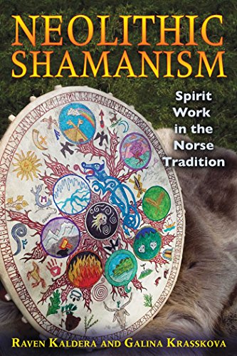 Neolithic Shamanism: Spirit Work in the Norse Tradition (English Edition)
