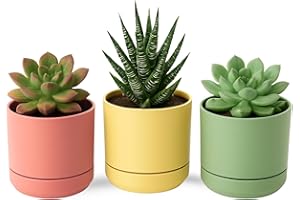 TECHZOCO Macetas para Cactus de plástico, Mini Maceteros Pequeños para platas, Macetas Decorativas, No Incluyen Las platas, Incluye Plato Integrado, 10.5 cm diámetro x 9.2 cm Alto, Pack 3 Unidades