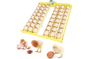 PAIDUOJI Plateau à oeufs automatique de nouveau style avec moteurs 12V pour incubateur à 56 oeufs (48 + 220v motor)