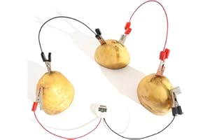 ‎SEAFRONT Edukacyjny dla Dzieci Bio Energy Science Kit DIY Bateria na Owoce Budzik Ziemniaczany Eksperymenty z elektrycznością Ziemniaka Zabawki dla Uczniów szkół Podstawowych Eksperyment