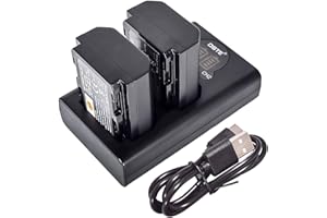 DSTE DE DSTE 2X NP-FZ100 Ersatz Batterie + Duales USB-Ladegerät mit LCD-Display Kompatibel mit FZ100 and Sony FX30, α1, A6700, A7R3, A7R III