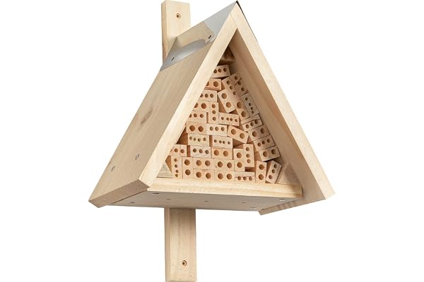 HABA Terra Kids Kit d’Assemblage Hôtel pour Insectes, 304543, Coloré