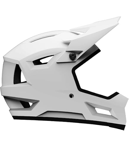 Bell Rogue Helmet