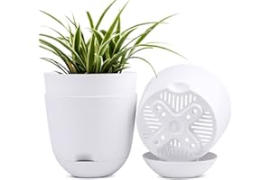 QCQHDU Plant Pots,3 Pack 8 inch Self Watering Planters High Drainage with Deep Saucer Reservoir for Indoor & Outdoor Garden Flowers Plant Pot-White
