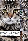 Istanbuls Katzen (Wandkalender 2018 DIN A2 hoch): Katzenportraits aufgenommen in Istanbul. (Monatskalender, 14 Seiten ) (CALVENDO Tiere) [Kalender] [Apr 01, 2017] Wagener, Harald by 