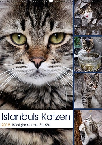 Istanbuls Katzen (Wandkalender 2018 DIN A2 hoch): Katzenportraits aufgenommen in Istanbul. (Monatskalender, 14 Seiten ) (CALVENDO Tiere) [Kalender] [Apr 01, 2017] Wagener, Harald