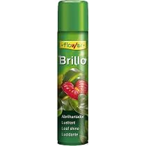 Abrillantador Para Plantas Flower Brillo Natural - 800 Cc, Sin Aromas, Antialergénico, Para Interior Y Exterior