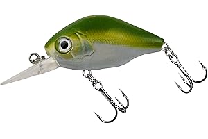 ‎NASTY BAIT Nasty Bait Slinky | Crankbait | Wobbler I Angelköder | Länge 4,5cm - 1,77" | Gewicht 8g | 3D-Augen | BKK Premium Drillingshaken | UV aktive Modelle |Lauftiefe 1,2 – 1,4 m | schwimmend | für Barsch, Hecht und Zander