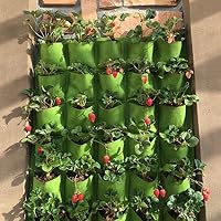 Bolsas para plantas | Amazon.es