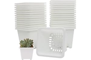 GGOUPTY Plastic Square Plant Pots 4 Inch 30 Pcs Succulent Planter Nursery Pots with Reinforced Rim for Flower Staring Seedling
