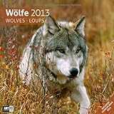 Wölfe 2013 Art13 Collection: Broschürenkalender by 