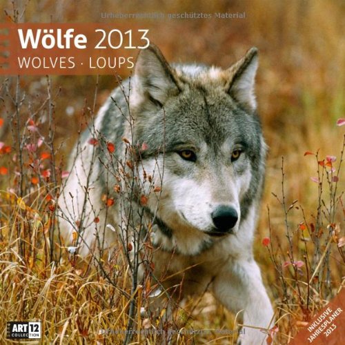 Wölfe 2013 Art13 Collection: Broschürenkalender