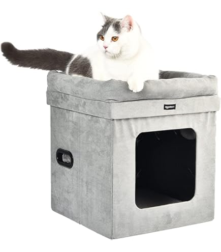 Cama Verano Gato Cama-cueva Para Gatos Con Taburete ¡2 En