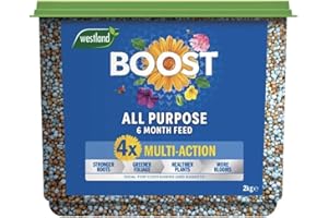 Westland Boost Slow Release Plant Food 2kg