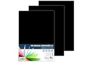Raylu Paper – Papier Cartonné A4 Coloré, 100 Feuilles Cartonnées, Papier Epais de Couleur, pour l’Ecole, le Bureau, le Scrapbooking, les Activités Manuelles, 180g/m², 210 x 297 mm (Noir)