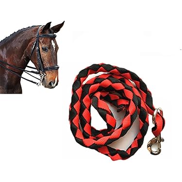 Guinzaglio Equestre Per Cavalli 2m - Corda Cotone Resistente Con Gancio, Rosso/nero - Foto 3