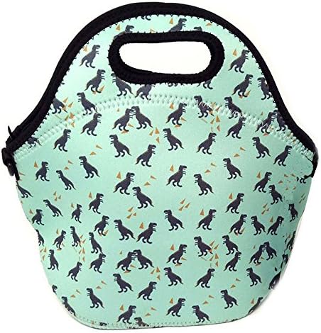 Insulated Lunch Bag, XJY Cooler Lunch Box Carrier Tote Lunch Kit With Water Bottle Pouch and Long Adjustable Shoulder Strap for Women Kids Girls Portable for School, Picnic, Work and Outdoor Activity