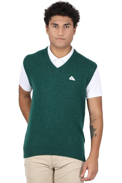 Monte Carlo Mens Lambs Wool Green Solid V Neck Sweater | 1220516SL-2642-40  : Amazon.in: Clothing u0026 Accessories