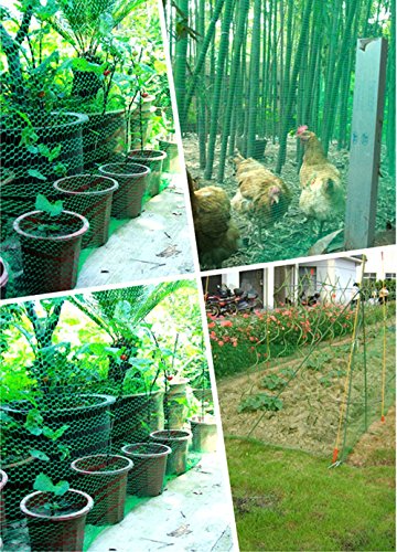 Vogelschutznetz für Vögel oder Kleintiere / Dauerhaft & Lasttragende Material, um Pflanzen, Bäume und Sträucher Schützen (4 * 10 M Grün und Engmaschig) - 6
