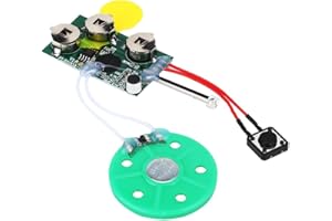 Garsent Modulo vocale Registrabile, modulo di Auguri 4mb Registrabile Fai-da-Te Musica Suono Conversazione Chip Musicale registratore Radio per Biglietto di Auguri.(Loop Play)