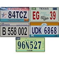 LOT DE 10 Plaques D'immatriculation Américaines En Métal USA - Foto 9