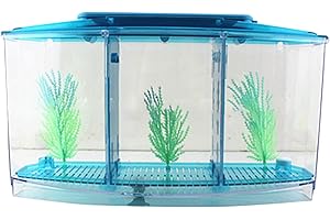 NCONCO Betta Bow Acquario Serbatoio Acrilico Pesce con 6 LED (3 scomparti)
