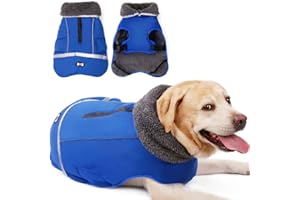 JRANTER Waterproof Windproof Dog Cold Weather Coats-Warm Dog Clothes Clothing Jackets for Small Large Medium Girl Boy Outdoor Indoor Activities (blue, Large)