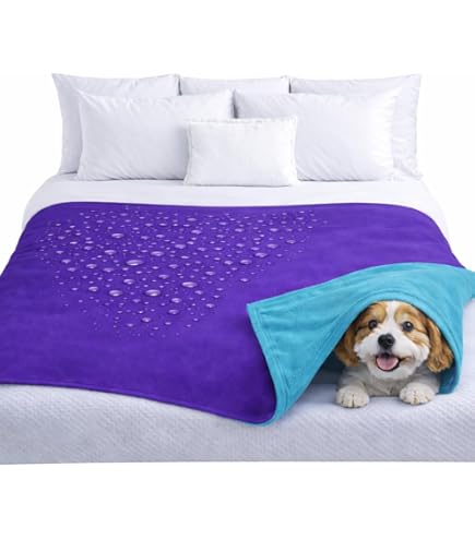 PetAmi Waterdichte hondendeken, sherpa-fleece, waterdichte huisdierdeken voor middelgrote en grote honden, omkeerbare kattendeken, bed, bank, meubelbeschermer, zachte pluche microvezel (Large 40 x 60 PetAmi Waterdichte hondendeken, sherpa-fleece, waterdichte huisdierdeken voor middelgrote en grote honden, omkeerbare kattendeken, bed, bank, meubelbeschermer, zachte pluche microvezel (Large 40 x 60