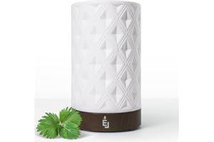 Earnest Living Dyfuzor olejków eterycznych do domu, biały ceramiczny dyfuzor do aromaterapii, 100 ml, timery, lampka nocna, funkcja automatycznego wyłączania, olejki eteryczne do dyfuzorów do domu