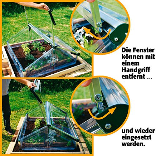 Frühbeet Silver Line - 3