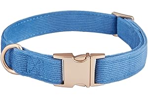 Petiry Soft Dog Collar with Safety Metal Buckle Adjustable Durable Comfort Velvet Corduroy Collars for Small Dogs,Blue,Neck 25-38cm
