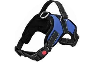 FYY Dog Harness No Pull, Breathable Adjustable Pet Harness Dog Vest Harness, Reflective Oxford Easy Control Dog Harness with Sturdy Handle for Small Medium Large Dogs S-Blue