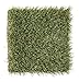 Produktbild Rasenteppich London begehbar 35 mm Kunst Gras Teppich Garten 2 x 25 Mt 50 qm
