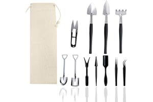 Wobodan 12 Pcs Succulent Tools Set Mini Transplanting Garden Tools Kit for Indoor Gardening Flower Pot Cactus Care