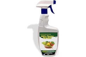 WABISABI DREAMS 100% PLANTAS VERDES Barrera Natural contra Plagas - 750ml, Jabón Potásico, Aceite de Neem, Eliminación y Portección de Hongos y Fertilizante