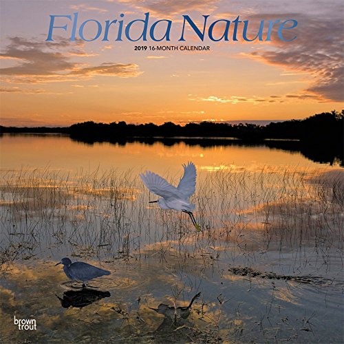 Preisvergleich Produktbild Florida Nature 2019 Square Foil