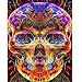 Produktbild MXJSUA 5D Diamond Malen Nach Zahlen Kit DIY Full Rund HSS-Kreuzstich Stickerei Strass Bild Craft Art für Home Wand-Decor Farbigen Totenkopf 30,5 x 40,6 cm