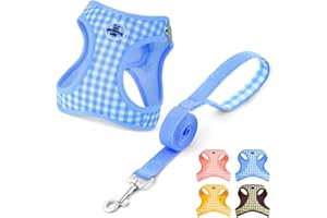 OFFCUP Arnés para Perro y Conjunto de Correa, Arnés Antitirones Reflectante Ajustable, Transpirable Malla Suave Arneses Chaleco para Perro Pequeños Gatos y Cachorros (Azul, S)