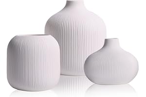 QIANLING Juego de 3 jarrones de cerámica blanca, juego de 3 jarrones acanalados pequeños para decoración rústica del hogar, decoración minimalista de chimenea, juego de 3 jarrones de cerámica blanca, estante