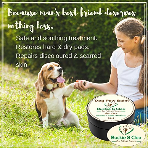 Patte-de-chien-Baume--apaisant-hydratant-et-Gurison-Beurre-Baume-pour-fissur-Sec-ou-Rugueuses-Paw-Coussinets-Naturel-de-protection-et-de-traitement-pour-les-chiens-sensibles-avec-les-douleurs-ou-Infla