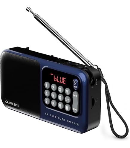 Sony SRF-R356 PLL Synthesizer Radio, FM/AM/Wide FM Compatible