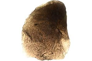 Starborn Pearl of Fire 10-15g Agni Manitite handsize stone, 1 piece