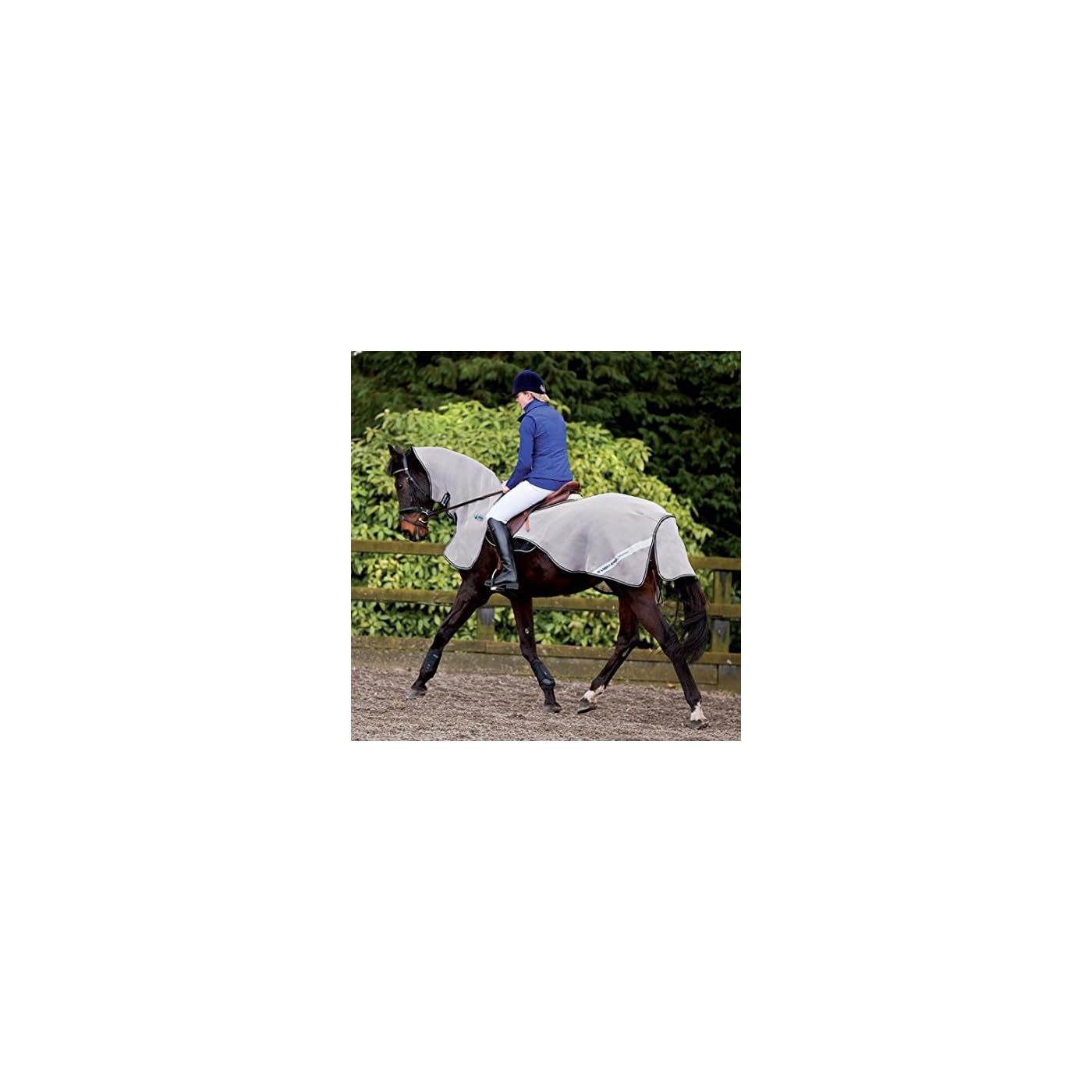 Horse ‘n’ Pony