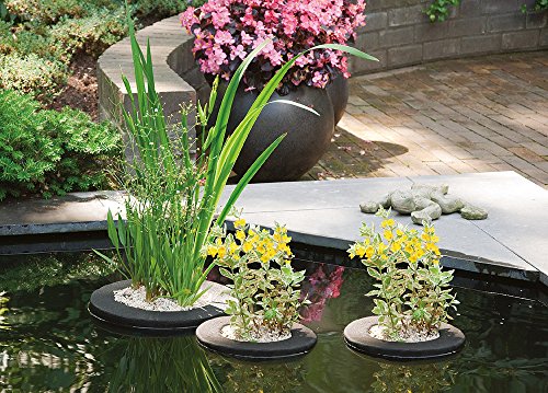 Velda 127573 Treibende Pflanzinsel für den Teich, Ø 35 cm, Rund, Floating Plant Island - 2