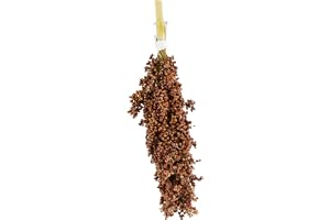 JR FARM Birds Dari-kolv 100 g