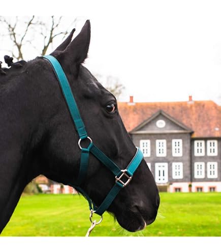 Imperial Riding Licol IRH Classic Fur - bleu marine - Boutique Equus Imperial Riding Licol IRH Classic Fur - bleu marine - Boutique Equus